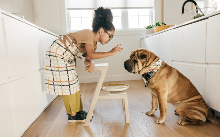 The Benefits of Spaying/Neutering Your Pets